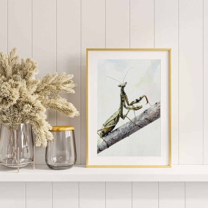 Quiet Scout wildlife wall art