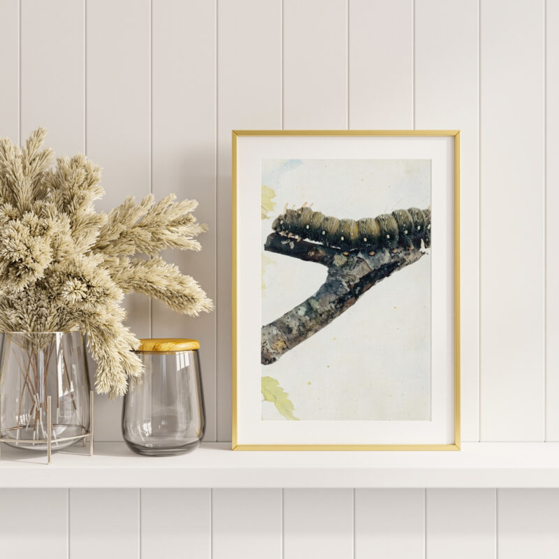Perch & Pause wildlife wall art
