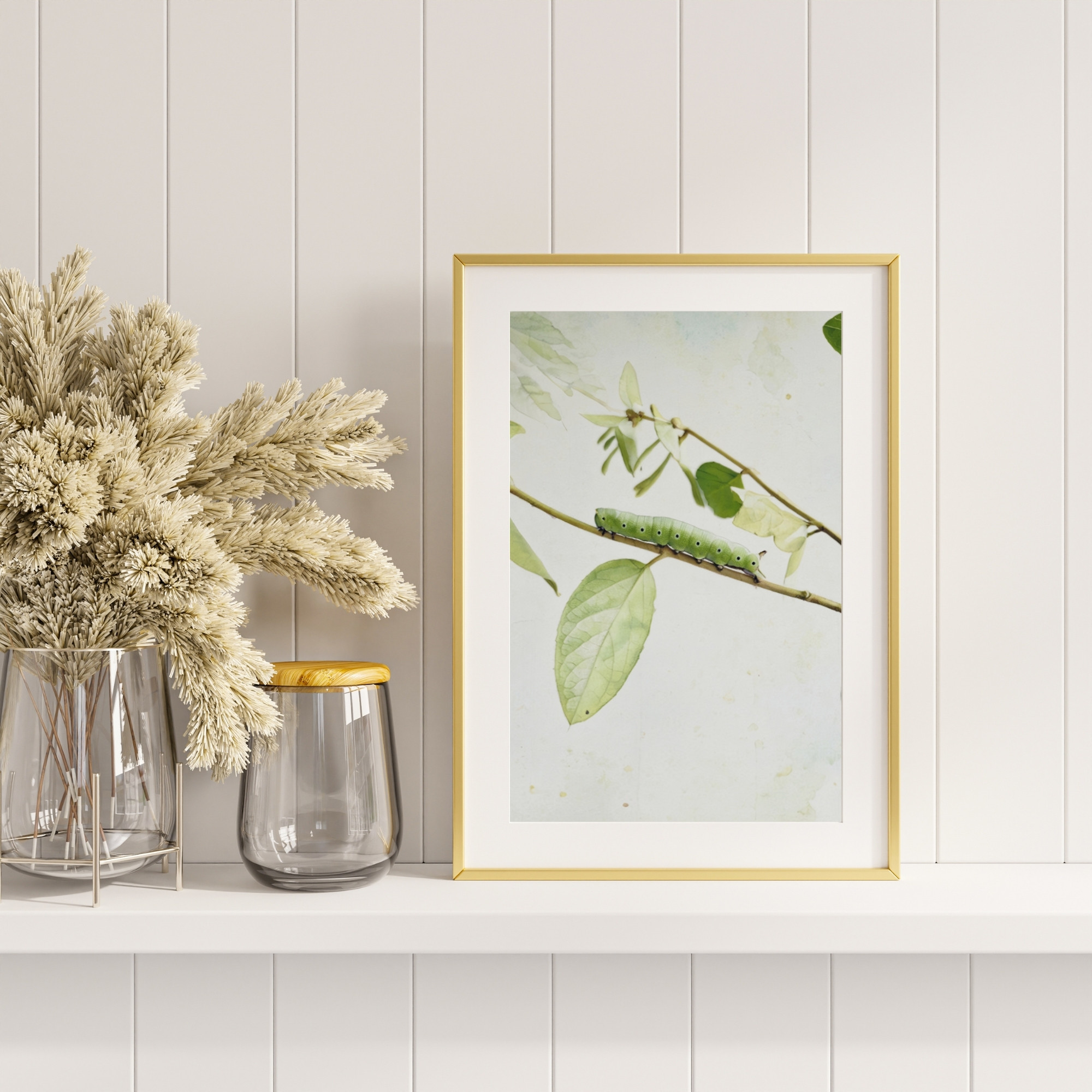 Orchard Wanderer wildlife wall art