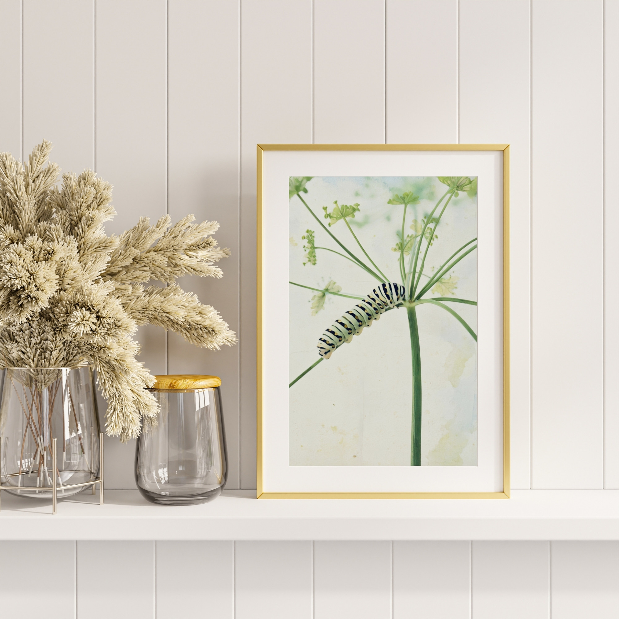 Garden Acrobat wildlife wall art