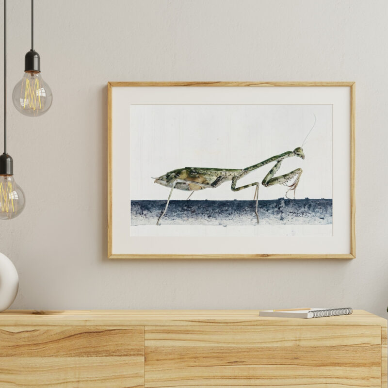 Measured Step wildlife wall art