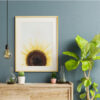 Sol Radiance botanical wall art