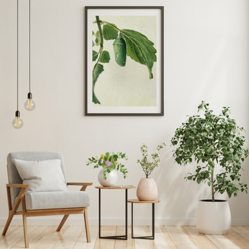 Winged Tomorrow wildlife wall art