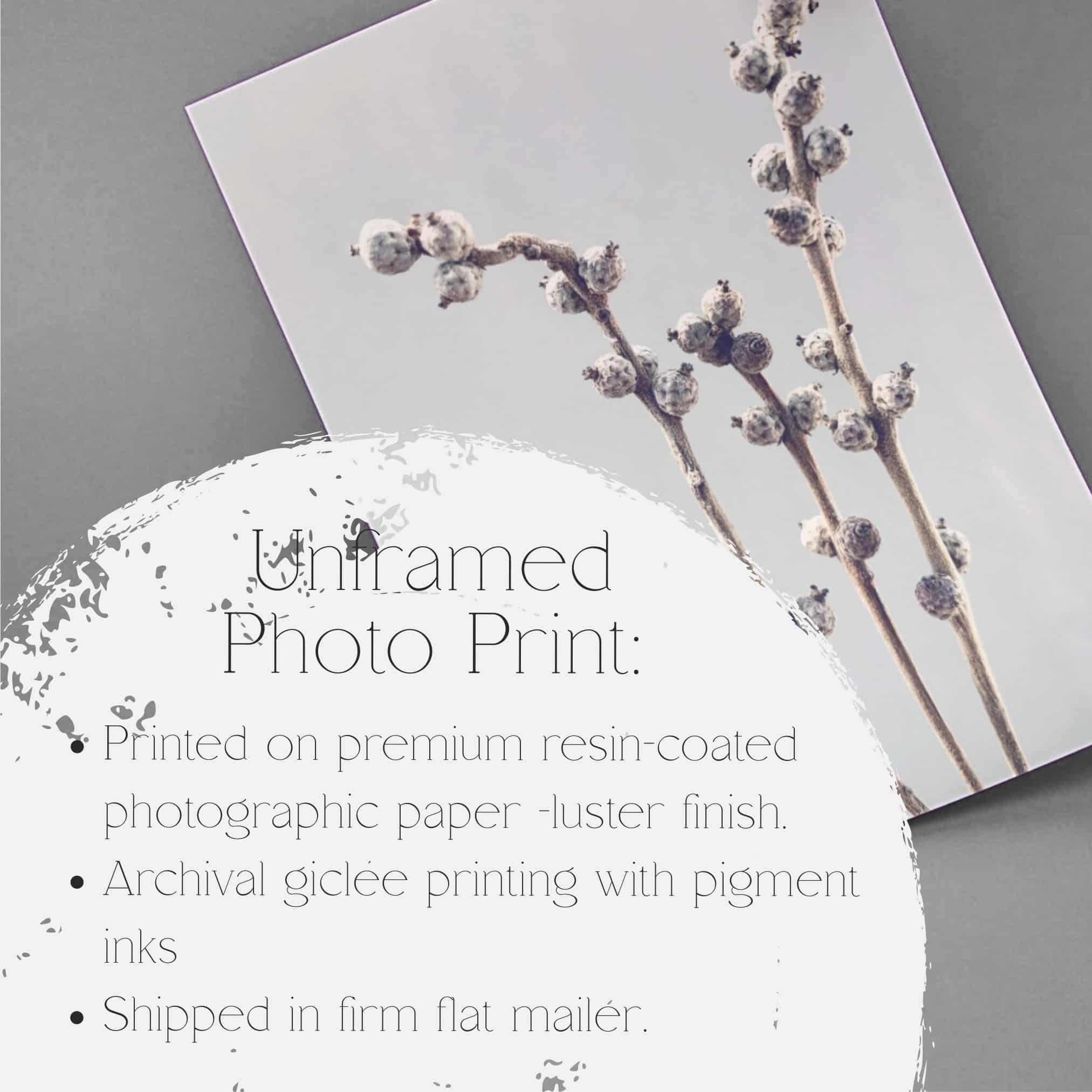 Morning Arc botanical wall art